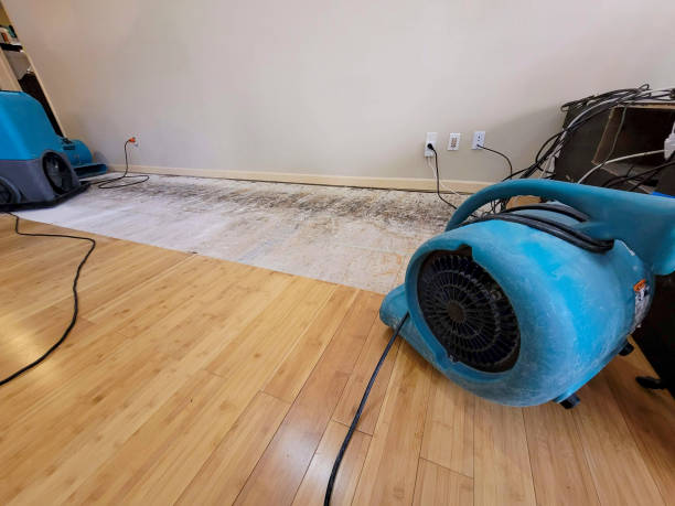 Professional Emergency Water Damage technician working in Mary D, PA